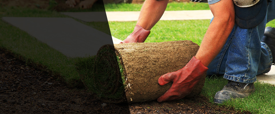 Chatham Landscapers